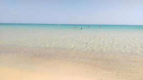  Le lagon de Hammamet  Хаммамет